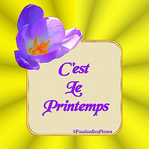 Cartes Virtuelles Gratuites Saison Printemps Passion Des Fleurs