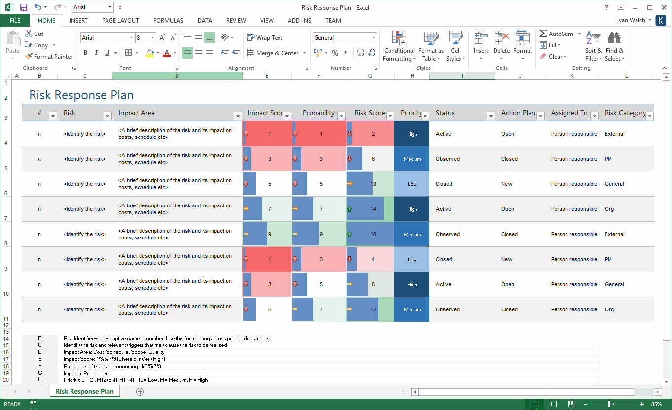 Risk Management Plan Template (MS Word + 5 Excel Spreadsheets)