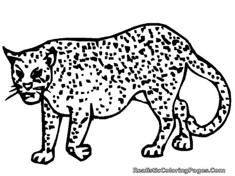 coloring pages  cheetahs