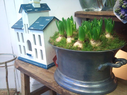 in the shop end of 2012