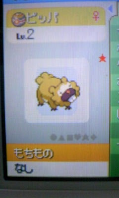 色違い011 ビッパ ケイサクポケモンまたり日記
