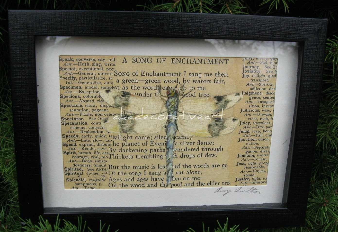 Dragonfly Home Decor Natural History Print by AKAdecorativeart