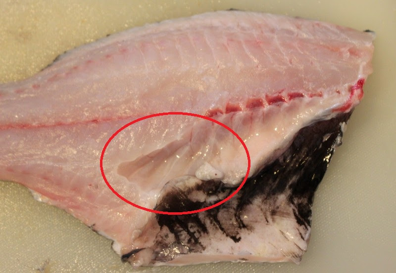 油壺の釣果を食べる 主にメジナ 東京近郊ボート釣り日記