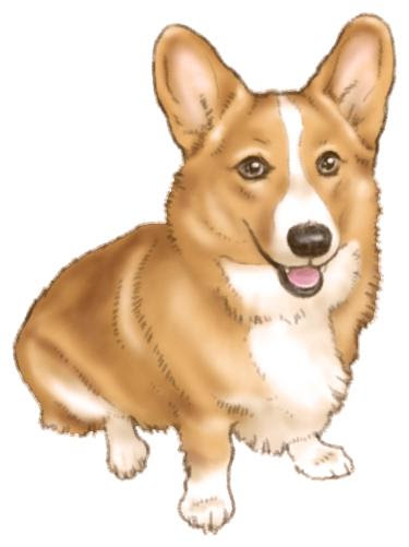 コーギーイラスト素材 Kmsys戌年賀状イラスト素材集