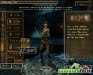 dnd-online-elves