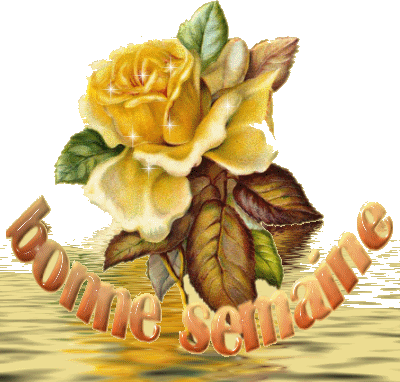 com-img
