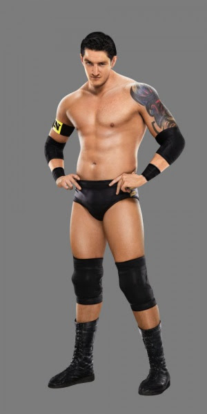 The leader of The Nexus and WWE NXT Season 1, Wade Barrett