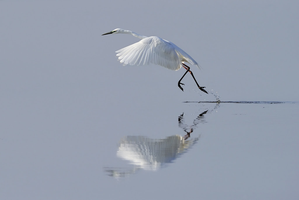 nature photography, view community,