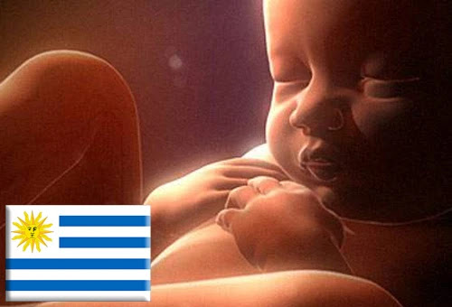 Aborto en Uruguay: Piden "vencer" comodidad del hogar para votar por referéndum Aborto en Uruguay: Piden "vencer" comodidad del hogar para votar por referéndum