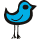 Follow me on Twitter