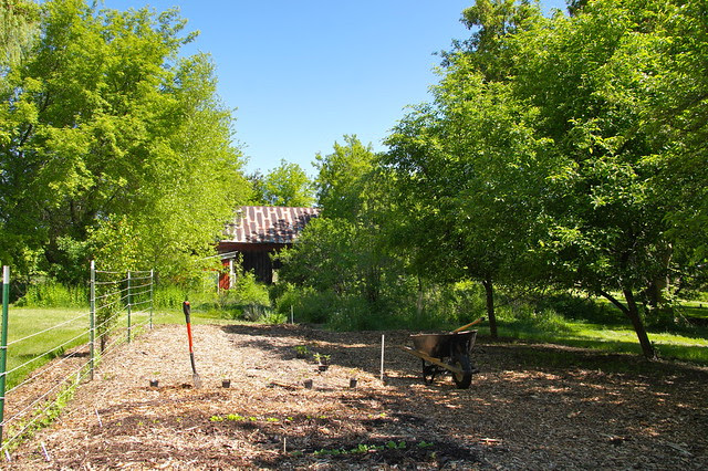 DSC06857