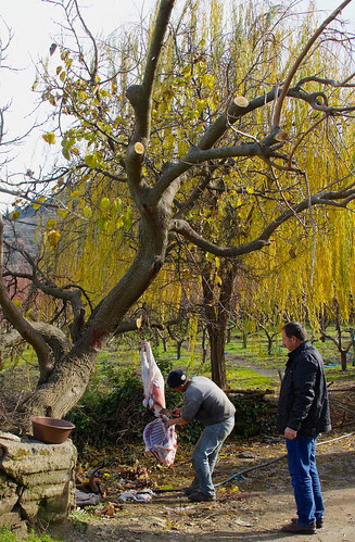 DSC07319 - Version 2