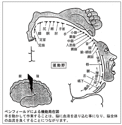 16年04月号 脳科学から見たやる気を出す方法 家庭教師なら中学受験 高校受験 大学受験対応のガッツ家庭教師