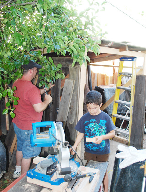 0710shed
