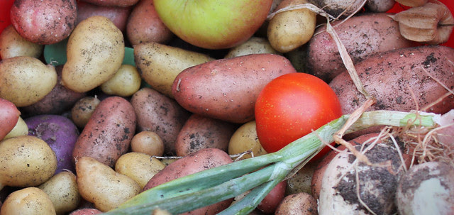 Harvest crop
