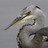 items in Horsham Wildlife
