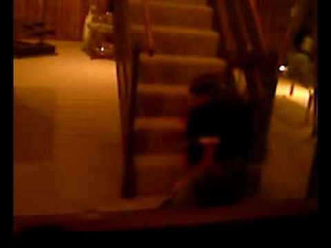 fat person falling down stairs. Fat Kid Falls Down Stairs
