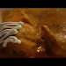 Salsa Picante Restaurant Download Music Mp3 and Mp4