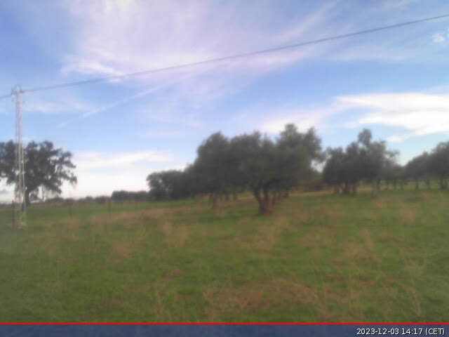 Webcam El Viso-Villeta