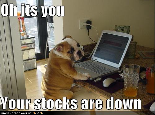 puppies pictures funny. printable dog and puppies,