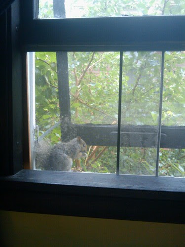hey there little guy
