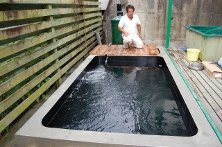 ウッドデッキから眺める 錦鯉飼育池新設工事 京阪錦鯉センター