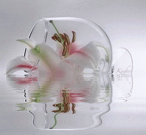 Animated Graphics, Flores, Gifs, Water Reflections, Animated Gif, Animated Gifs, Keefers Pictures, Images and Photos