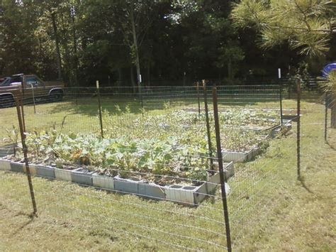 living life  rural tennessee