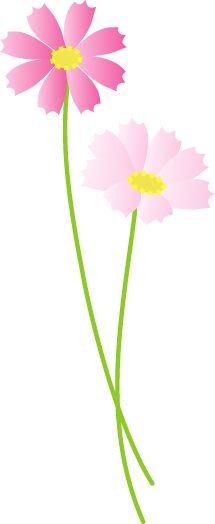 コスモス 秋のイラスト 無料イラスト フリー素材