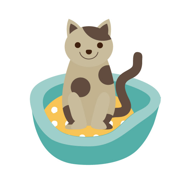 猫がトイレ以外で粗相 尿 便 をする理由と対処法について