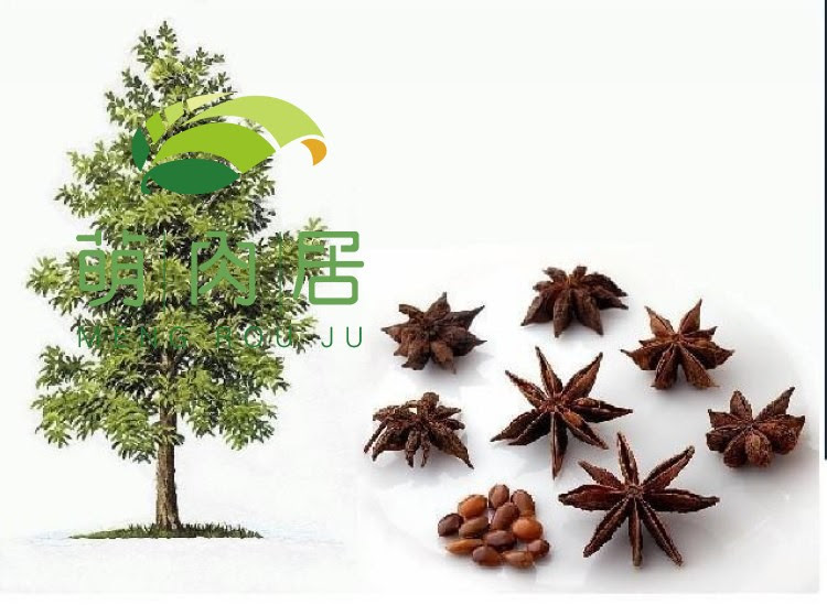 大茴香图片是八角吗 万图壁纸网