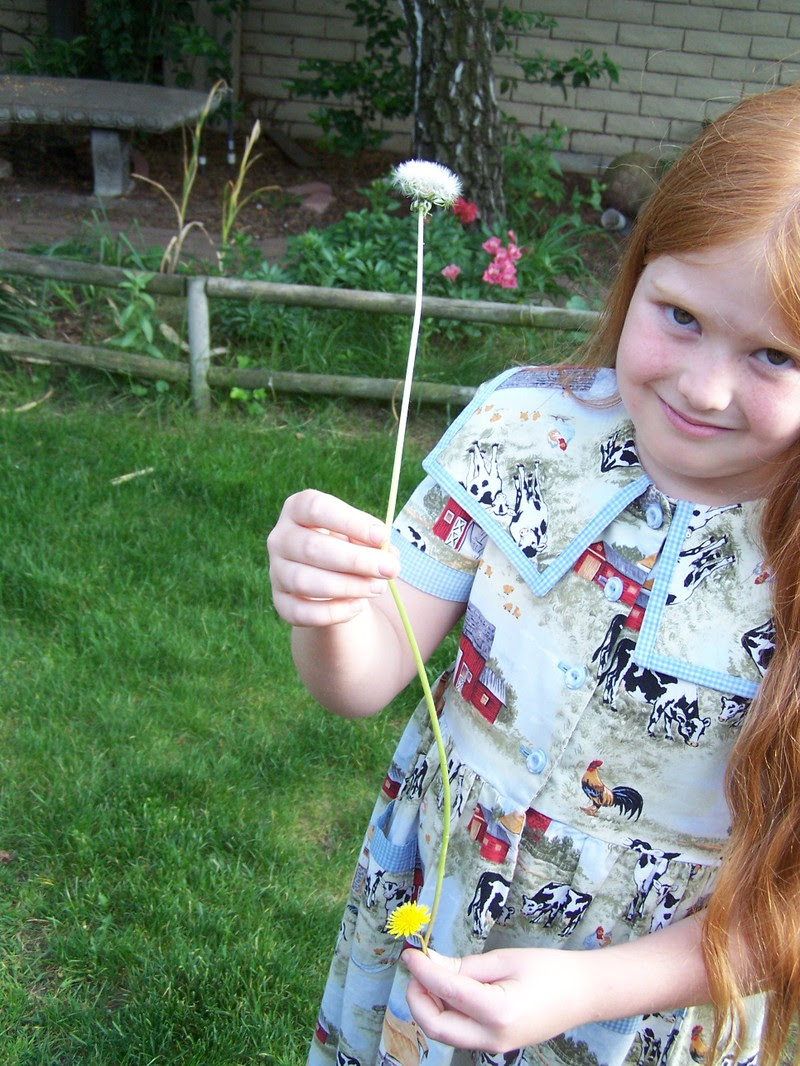 Dandelion