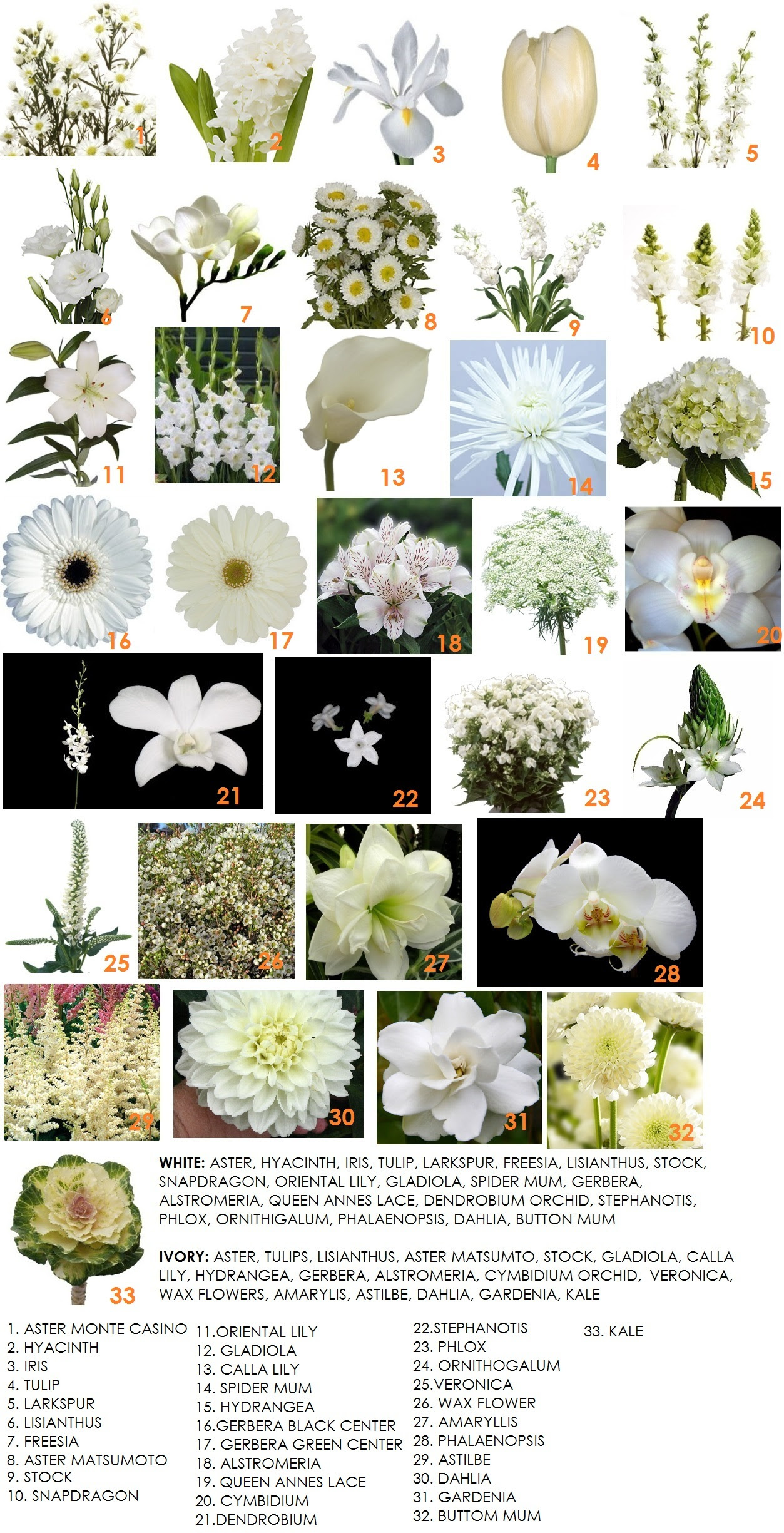 White flower guide Gardening Pinterest