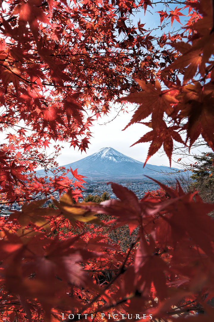 日本最美的秋天絕景 供桌布下載 攝影板 Dcard
