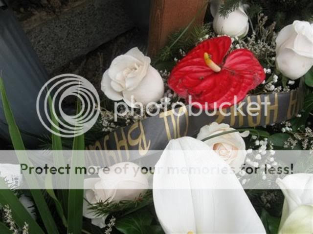 http://i639.photobucket.com/albums/uu116/volan-s/IMG_1665Small.jpg?t=1267687362
