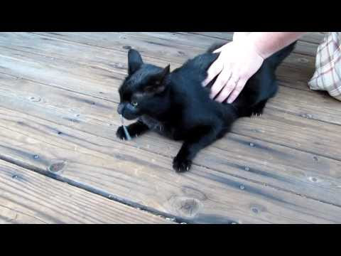 It Looks Like A Worm, But when you get closer OMG!!