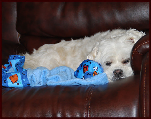 Sleepy-Dory