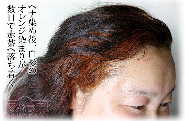 ヘナで赤く染まった白髪の赤みを抑える ヘナ染め方の注意点とコツ