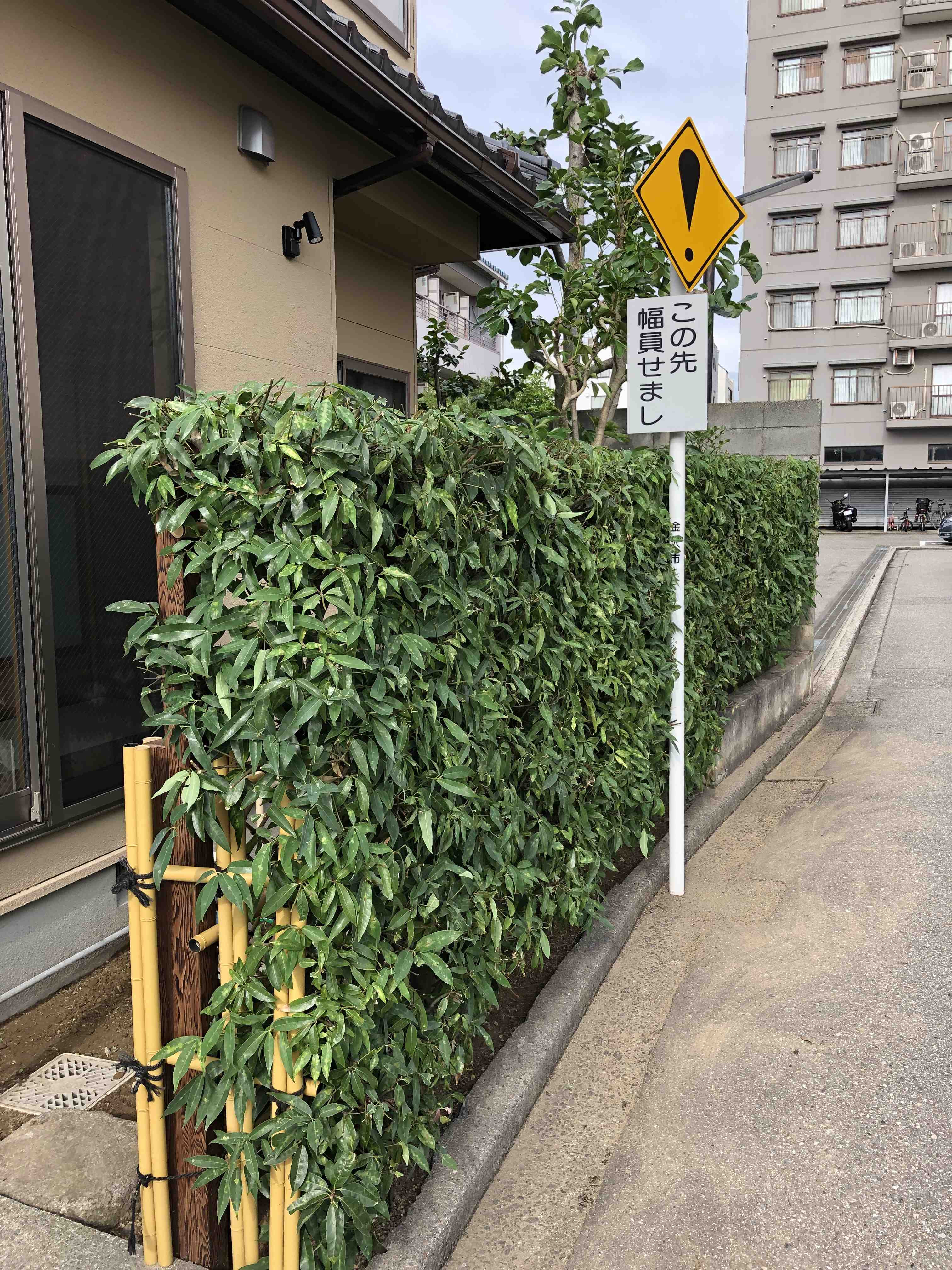 庭木の剪定