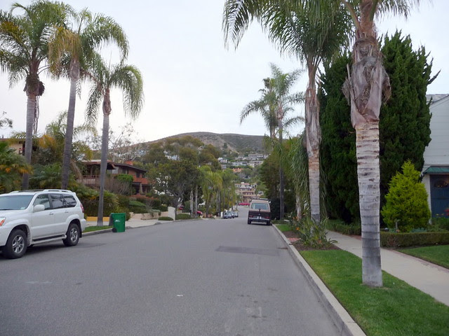 Patrick Nouhailler visiting Laguna Beach 12-29-2009 2-19-38 AM