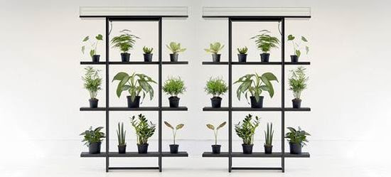 别让雾霾影响你 打造你的绿色小天地