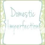 Domestic Imperfection