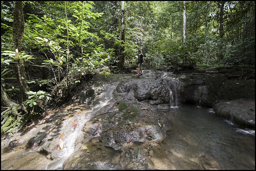 On our petty exploratory receive around Phang Nga a yoke of weeks agone Bangkok Thailand Place should to visiting : Sa Nang Manora Forest Park, Phang Nga