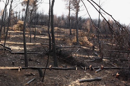 Burnt field at Stamata
