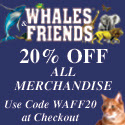 Bring out the animal in you at Whales & Friends