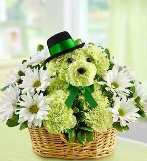 10 St Patricks Day Flowers