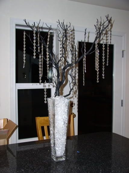 Willow Tree Branch