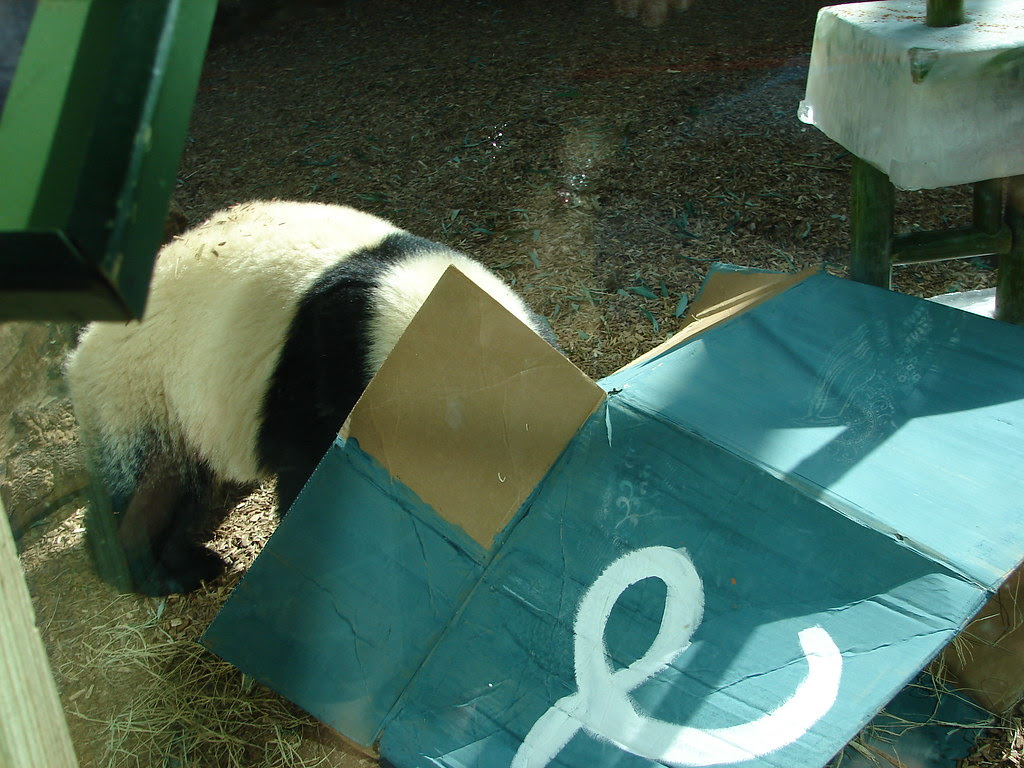Po's 2nd birthday