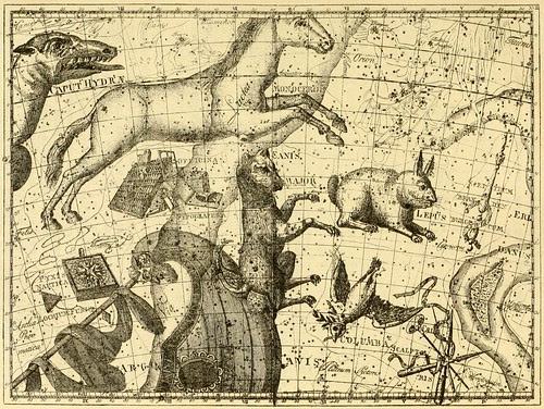 Constellations Australes