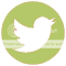  photo kadydidTWI_zps177a1f2a.png